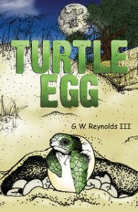 book cover turtle egg